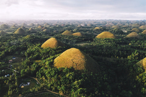 BOHOL COUNTRY SIDE TOUR
